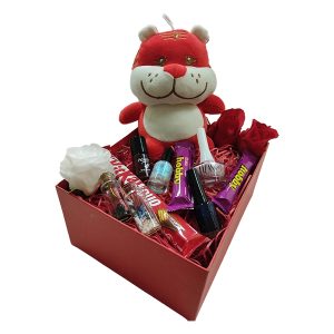 Valentine Box باکس ولنتاین عروسک ببر
