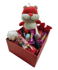 Valentine Box باکس ولنتاین عروسک ببر
